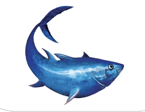 Commissioned artwork — fish